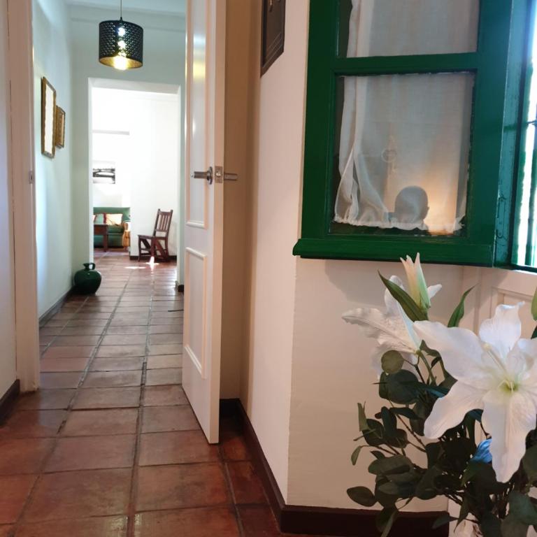 Apartamento Las Setas - Apartamento de 2 dormitorios - 23