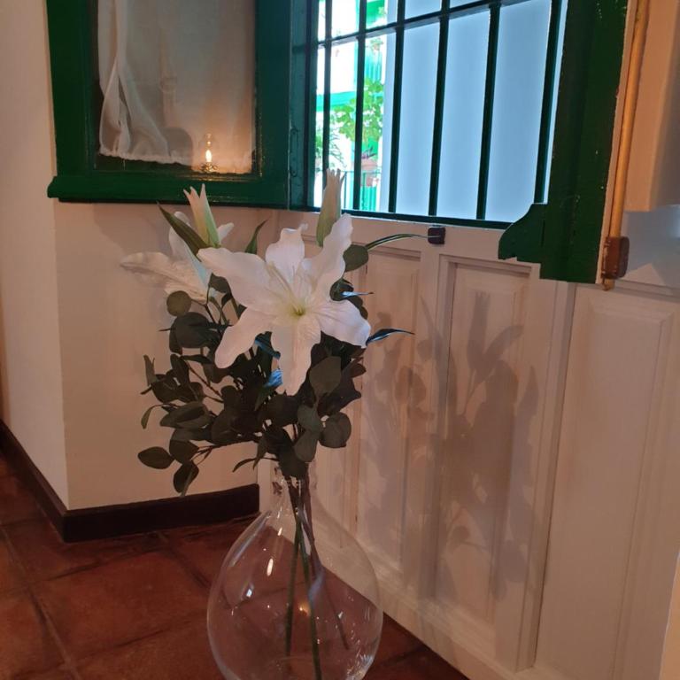Apartamento Las Setas - Apartamento de 2 dormitorios - 24