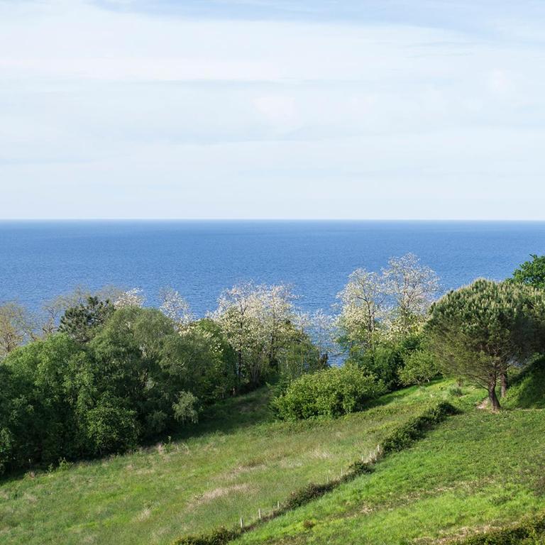 Boutique Ocean Terrace Luxury - SSHOUSING - Appartamento con 3 Camere da Letto - 28