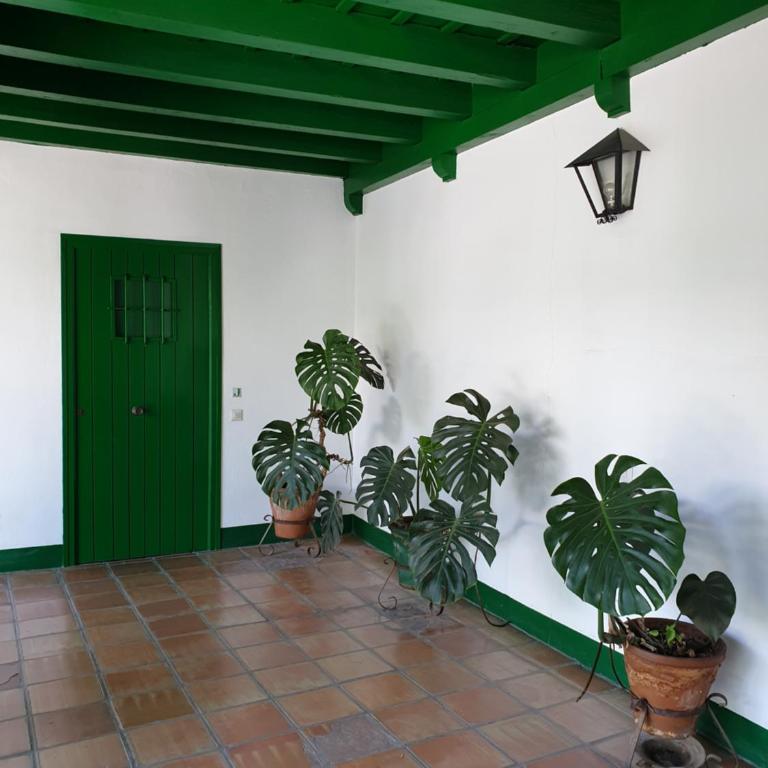 Apartamento Las Setas - Apartamento de 2 dormitorios - 43