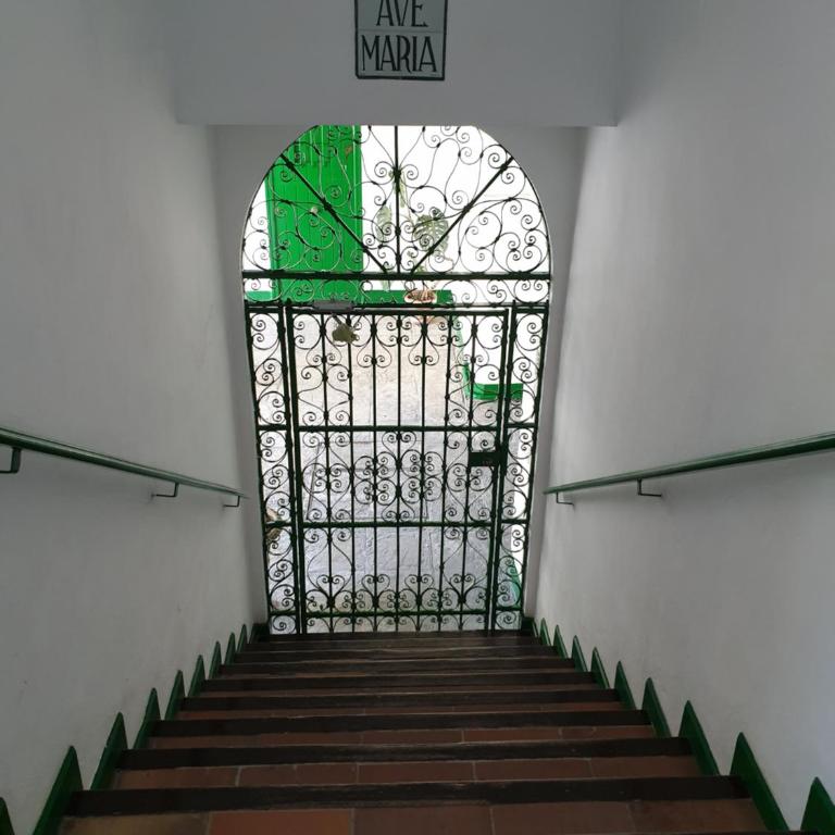 Apartamento Las Setas - Apartamento de 2 dormitorios - 45