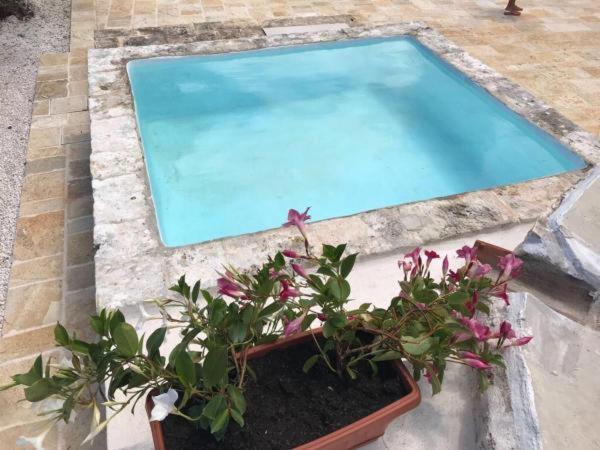 Trulli da Lalli - Villa con Vista Giardino - 21