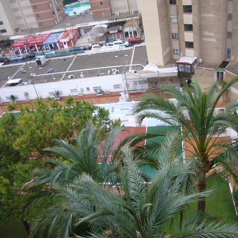 Alhambra - Fincas Arena - Apartamento - 30