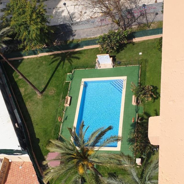 Alhambra - Fincas Arena - Apartamento - 6