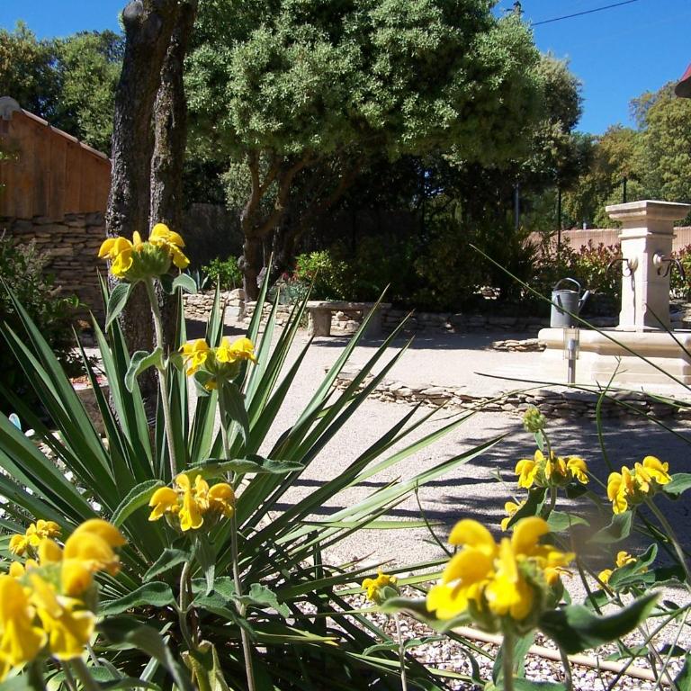 Les Florides - Appartement - Vue sur Jardin - 3