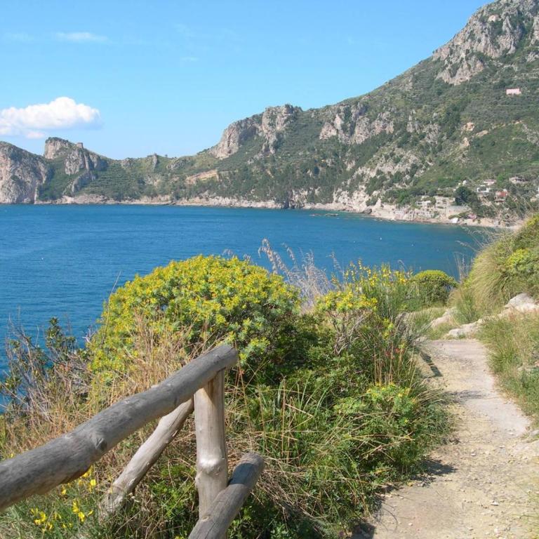 La Scaletta Casa Vacanze - Casa Vacanze - 15