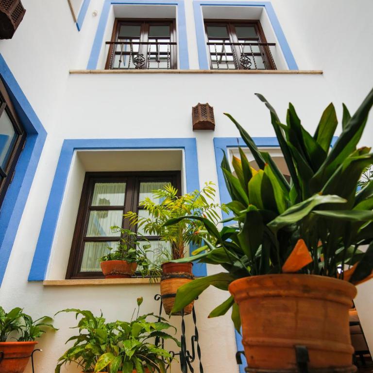 La Casa del Río - Estudio Estándar - 8