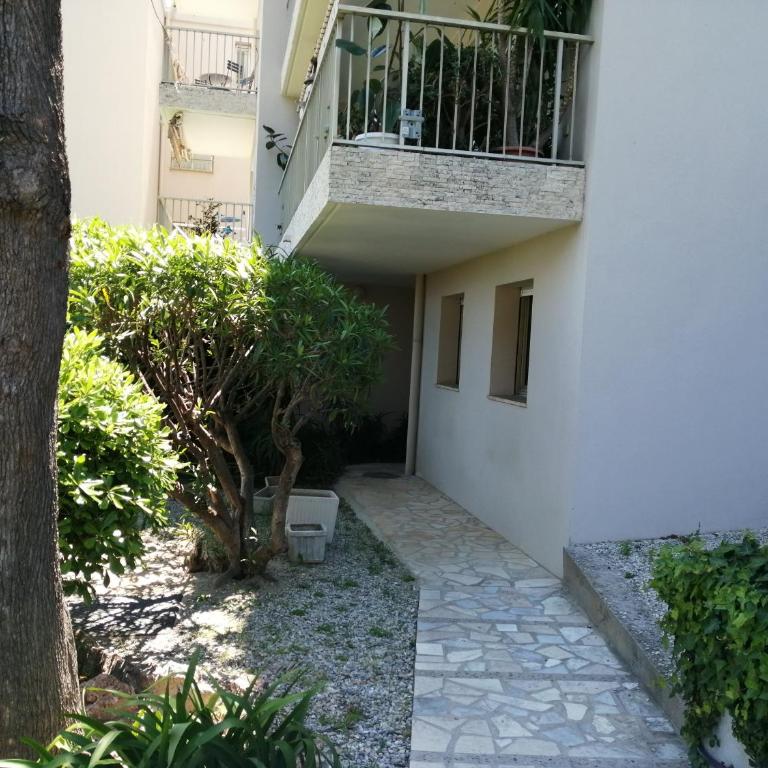 Studio les palmiers - Studio - 2