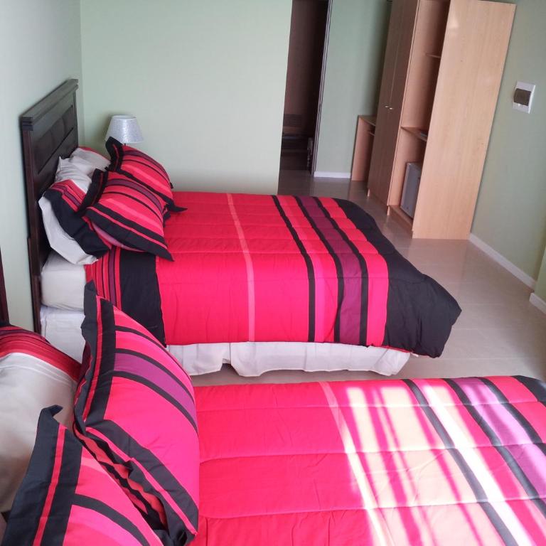 Hotel Astore Suites - Habitación Doble - 2 camas - 4