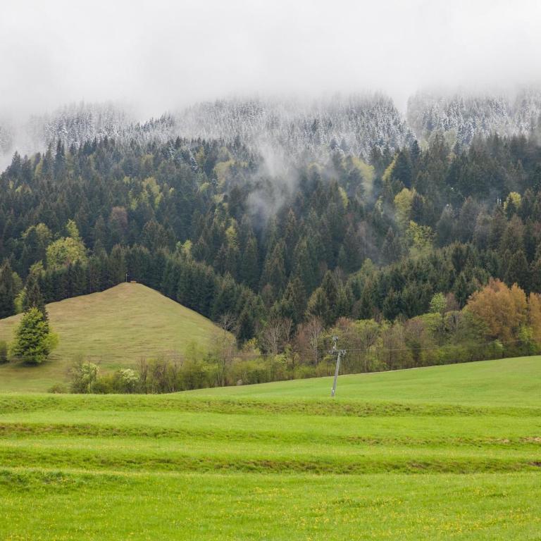 Chalet-Pfronten - Apartment mit Blick auf die Berge - 22