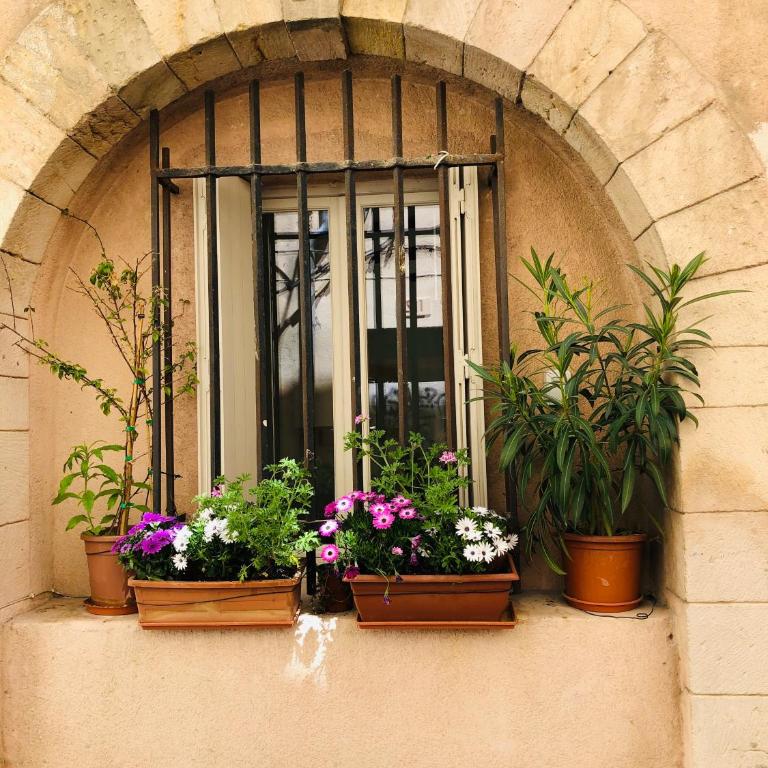 Sous le Clocher - Appartement - 13