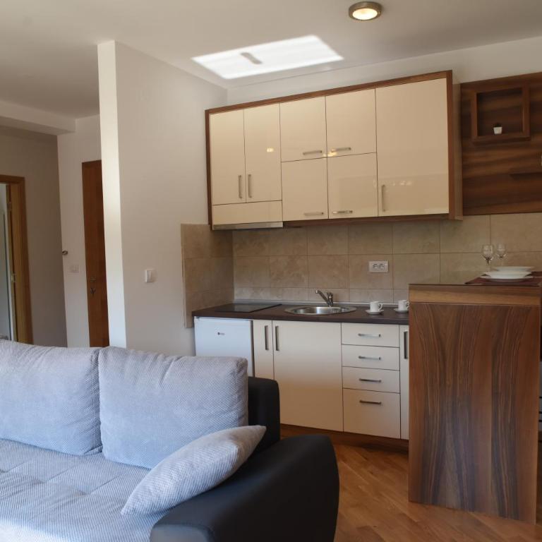 Apartmani Sunny Side Vrnjačke terme-aquapark-besplatan parking - Deluks Apartman - 4