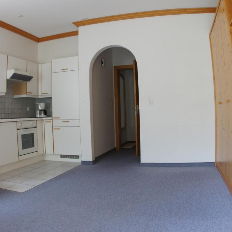 Chasa Fadrina - Großes Apartment mit 1 Schlafzimmer - 4