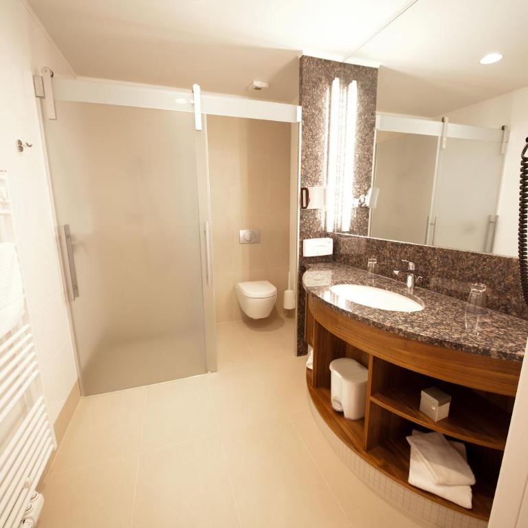 Business Hotel Ambio Gleisdorf - Habitación Doble Estándar - 3