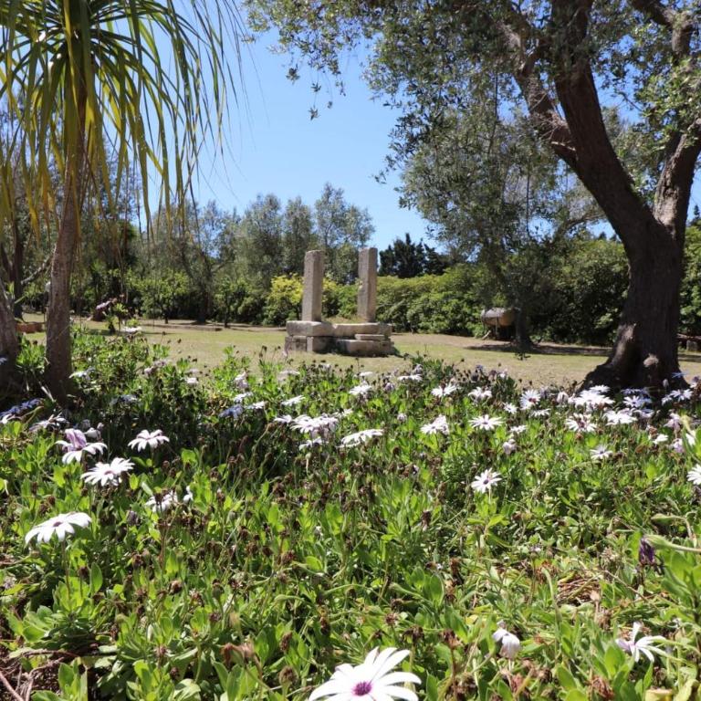 Masseria Fagà - Appartamento - 74