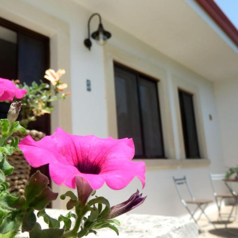 Masseria Fagà - Appartamento - 11