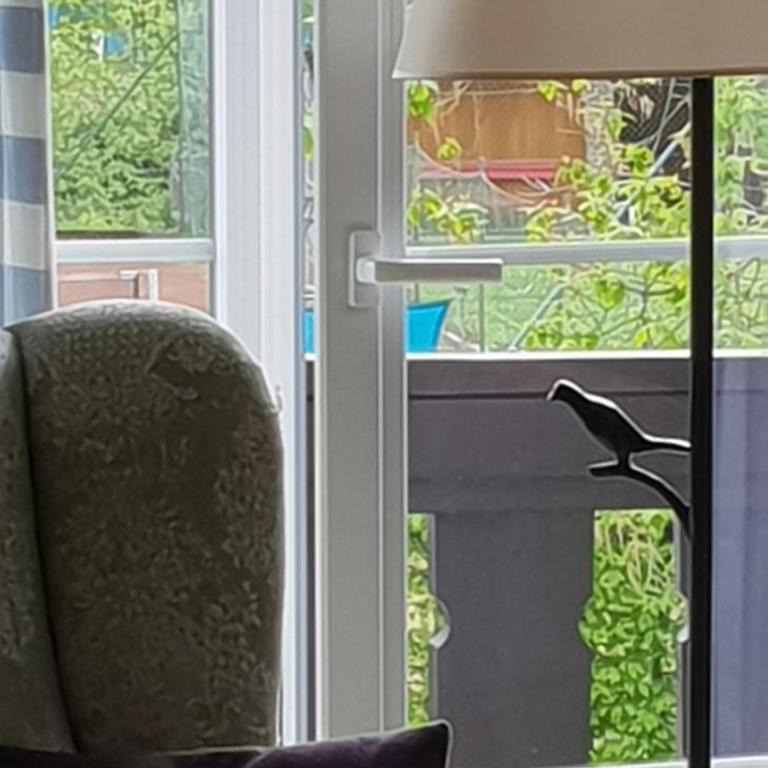 Pension Alpenhof - Deluxe Einzelzimmer mit Balkon - 1