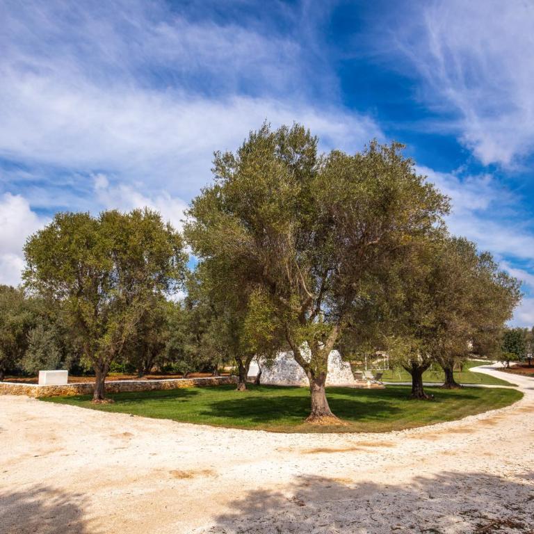 Lamia del Riccio - Three-Bedroom Villa - 9