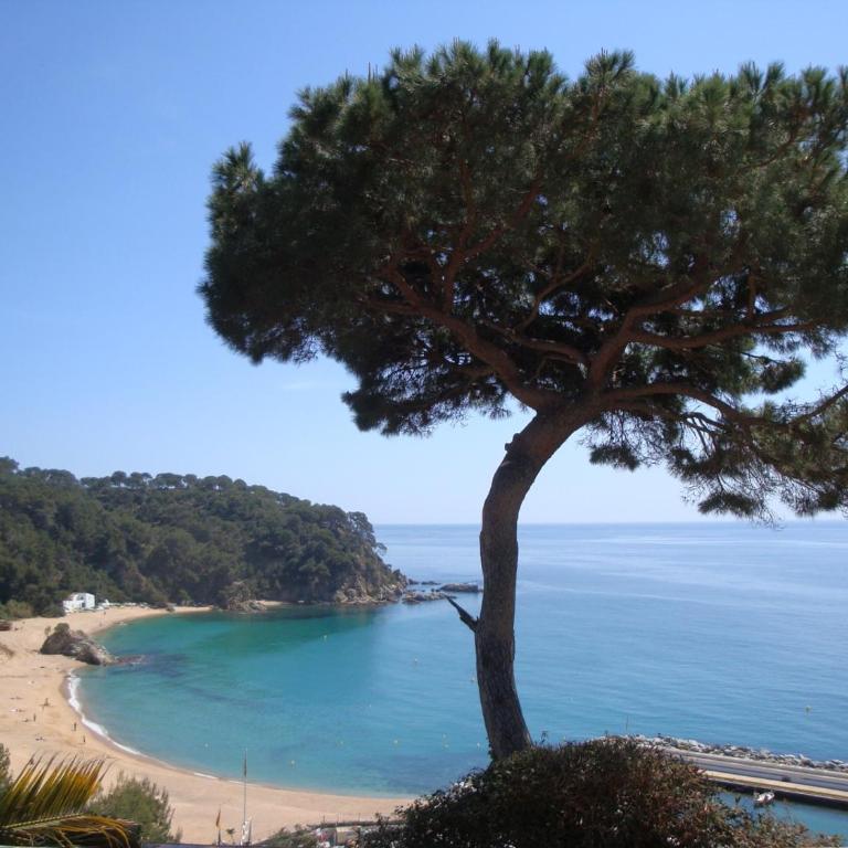 La gaviota - Villa con piscina privada - 15