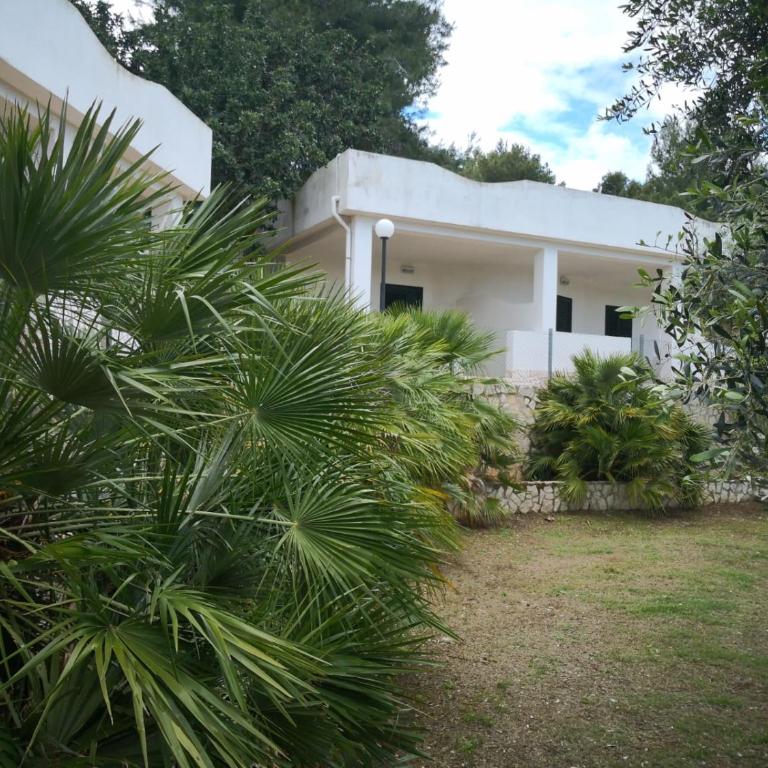 Residence Dolce Far Niente - Monolocale Executive 3 - 4