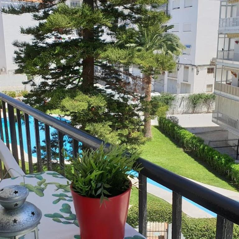 Perfecto apartamento centrico - Apartamento con vistas a la piscina - 5