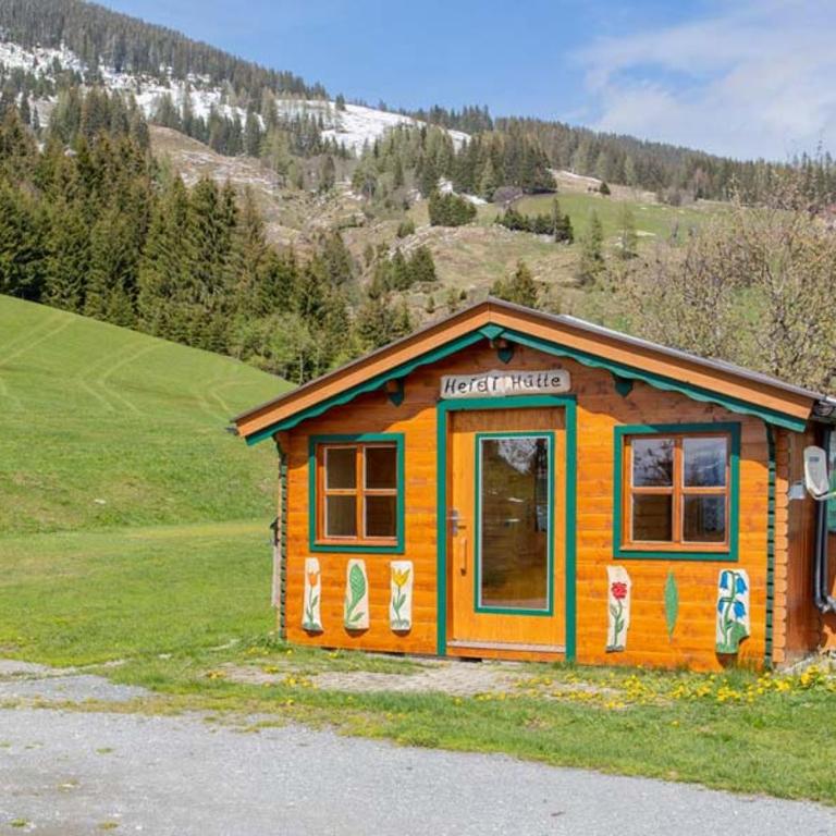 Bergbauernhof Familienparadies Oberhasenberghof - Chalet 1 Chambre - 15