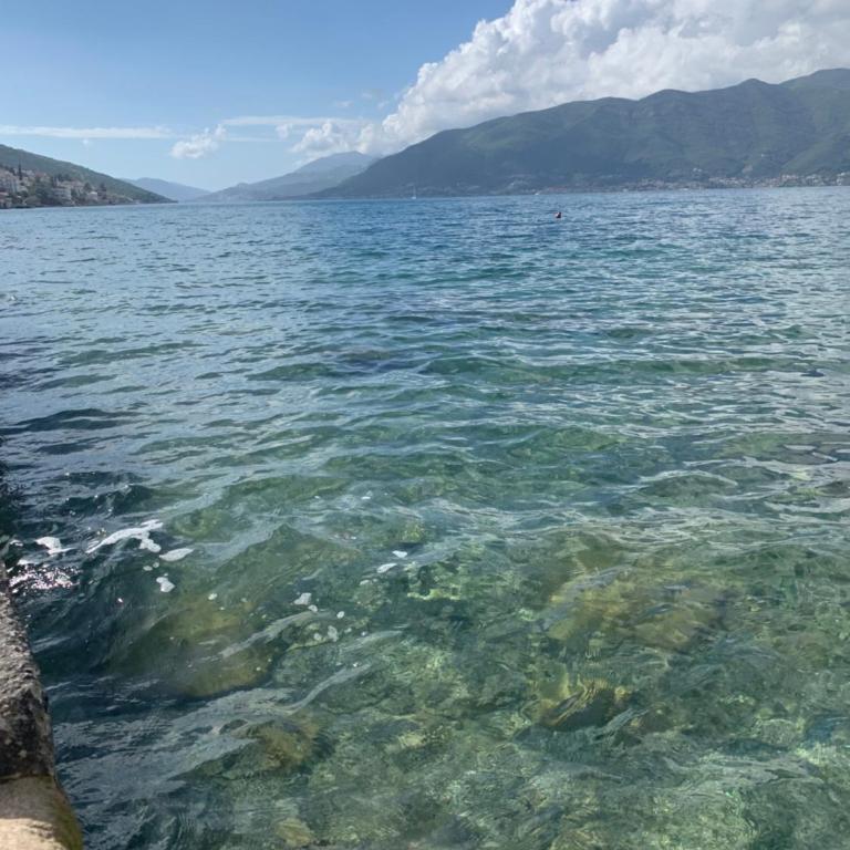 Zlata apartment - Apartman sa 2 Spavaće Sobe - 24