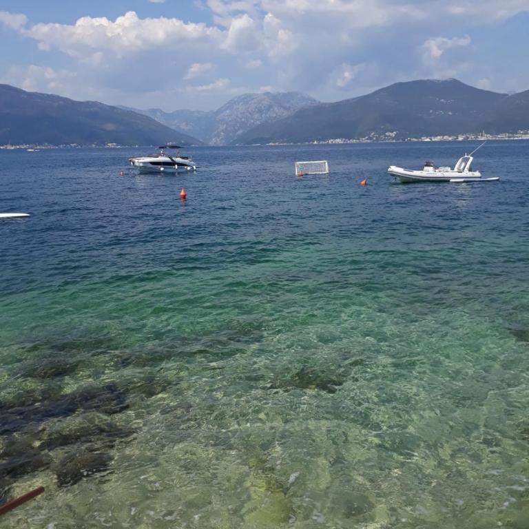 Zlata apartment - Apartman sa 2 Spavaće Sobe - 20