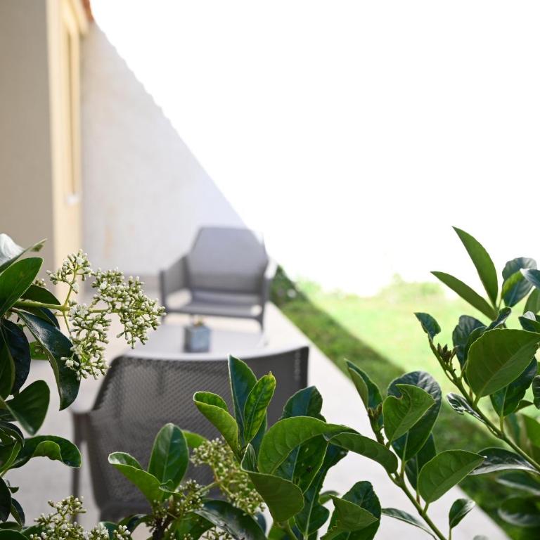 La Torre del Mulino - SUPERIOR Rooms - Double Room with Patio - 28