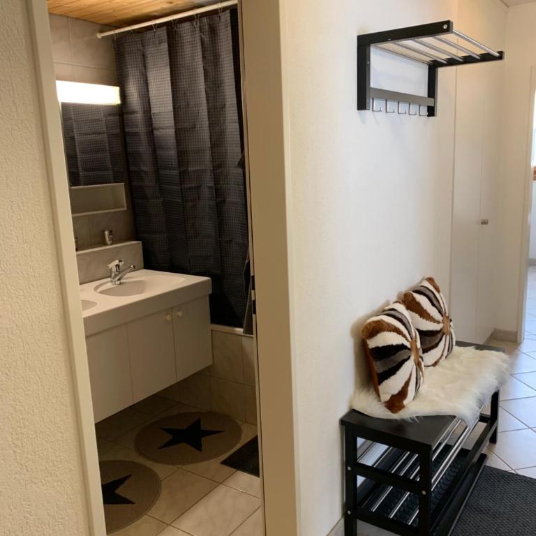 Holiday Apartment Gian - close to the Kongresshaus, the ice hockey stadium, cross-country skiing, the Eau-la-la indoor pool and wellness, large supermarket, 2 bus stops, with an indoor garage and fully equipped - Apartment mit 1 Schlafzimmer - 34