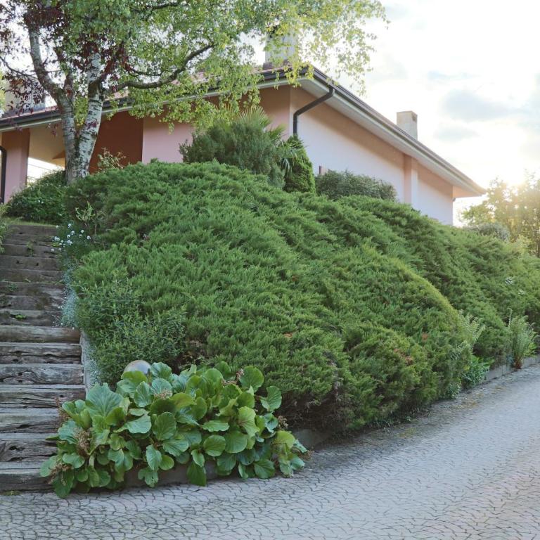 El Campizòl - Apartment mit 1 Schlafzimmer - 5