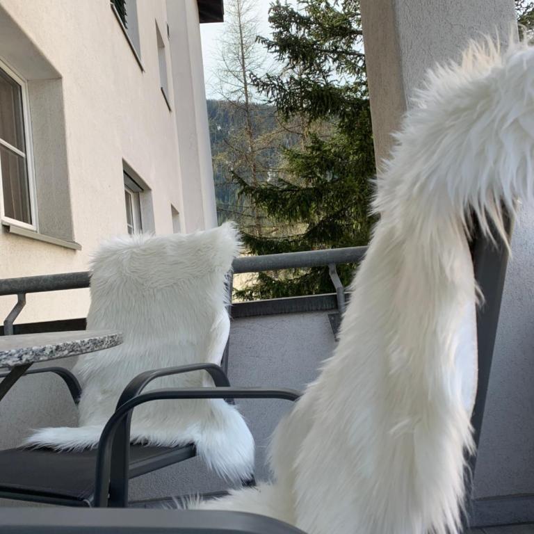 Holiday Apartment Gian - close to the Kongresshaus, the ice hockey stadium, cross-country skiing, the Eau-la-la indoor pool and wellness, large supermarket, 2 bus stops, with an indoor garage and fully equipped - Apartment mit 1 Schlafzimmer - 38