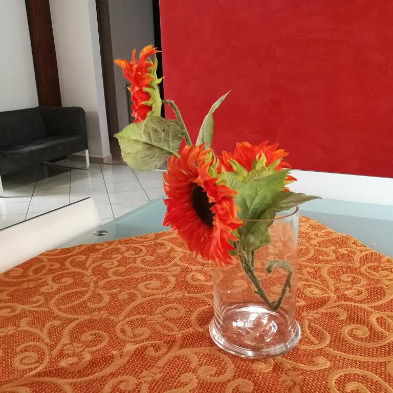 Casa in Centro via gioeni - Appartamento con 1 Camera da Letto e Terrazza - 24