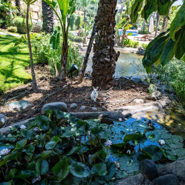 Luxury apartment at Lomas del Rey, Puente Romano - Apartamento Superior - 33