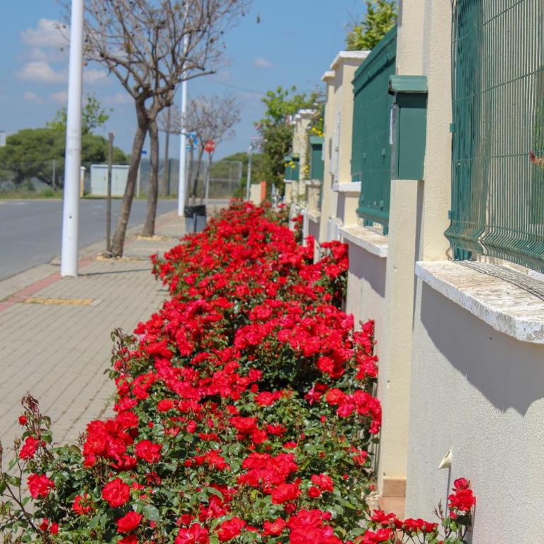 (ROU002) Cómoda Casa con Puerta a la Piscina - Casa Unifamiliar de 3 dormitorios - 27