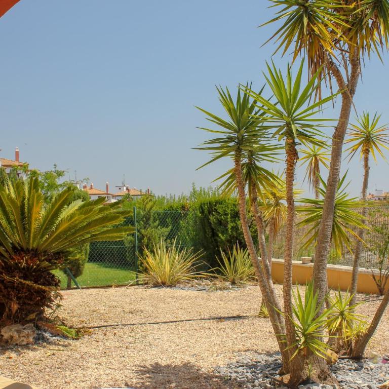(TOU001) Bonito Apartamento con Gran Jardín Solead - Apartamento - Planta baja - 22