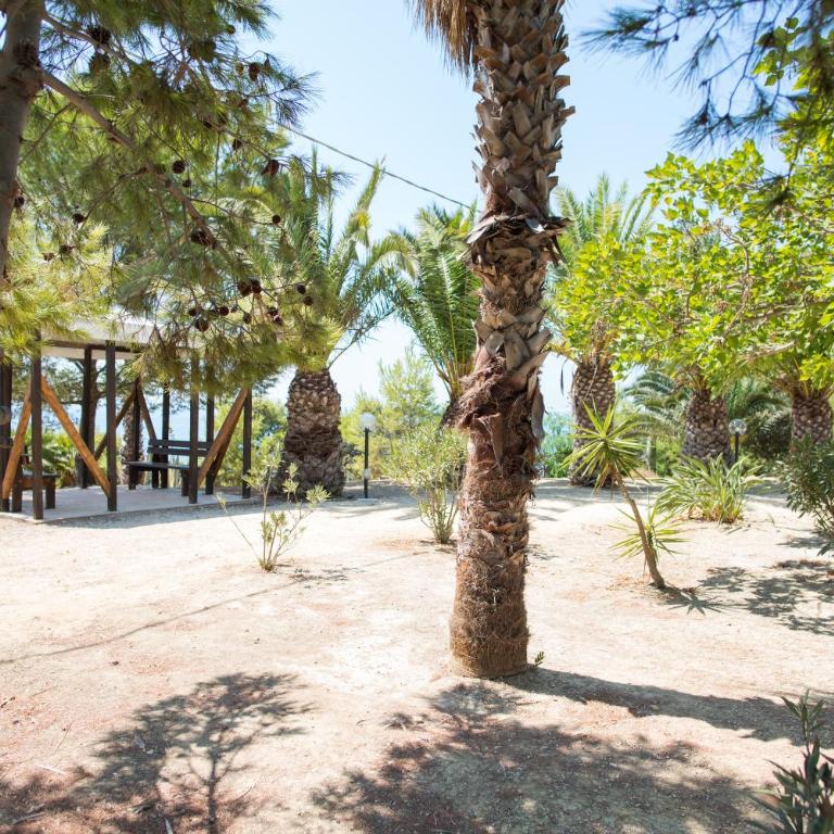 Case Vacanza Renella 3 beds Balcony, wifi, self-catering, 200mt from the sea - Apartment - 20