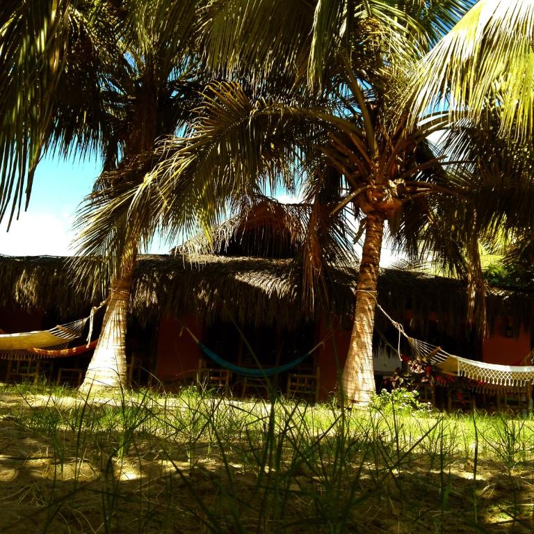 SEBAS GUEST HOUSE - Cama en habitación femenina compartida de 4 camas - 1