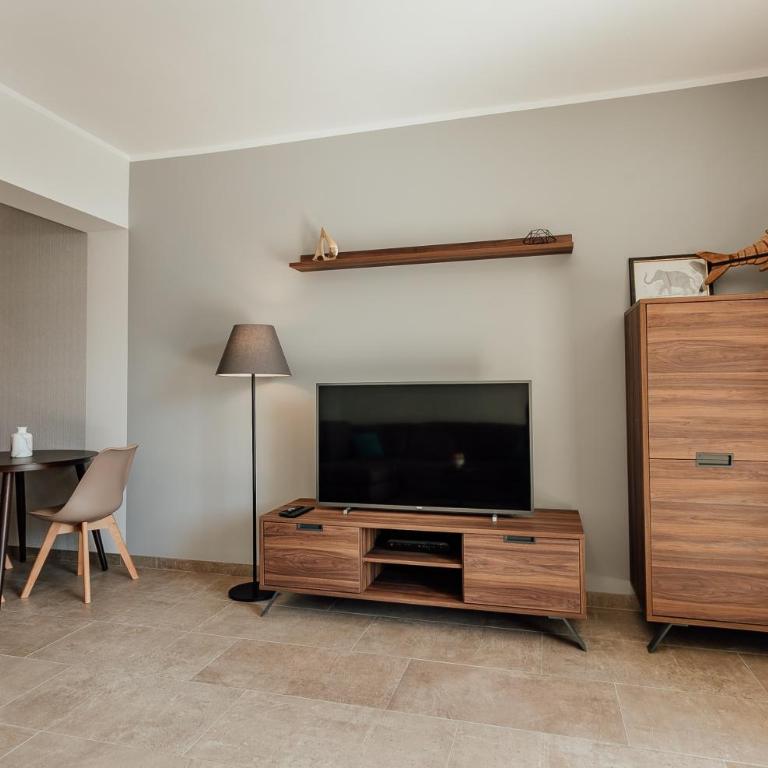 Boka Apartment 5 - One-Bedroom Apartment - 30