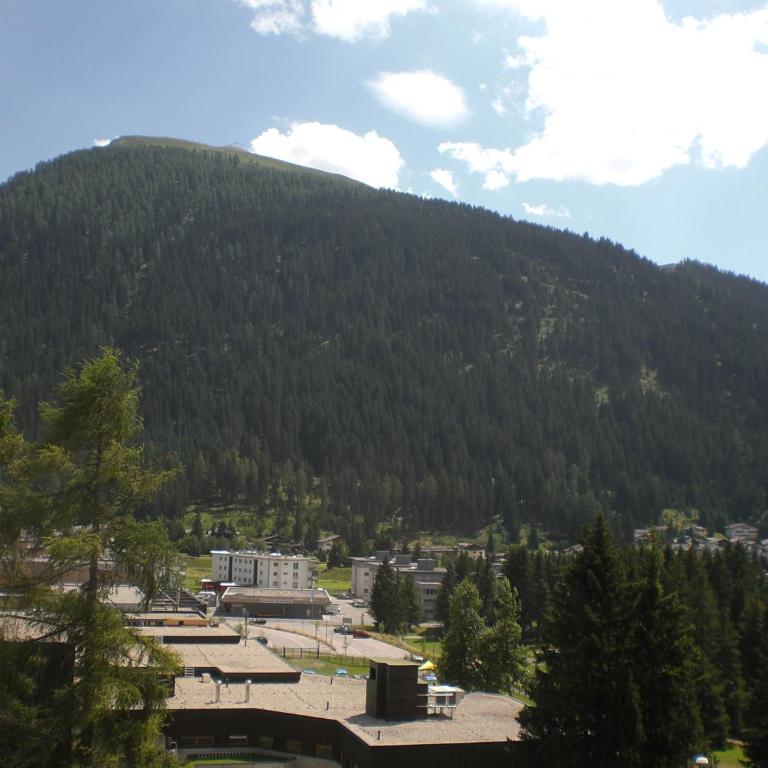 Heart of Davos apartments - Studio - 14