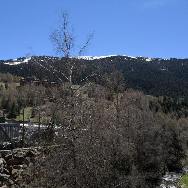Renttarter Sans Espais - Apartment mit Blick auf die Berge - 19