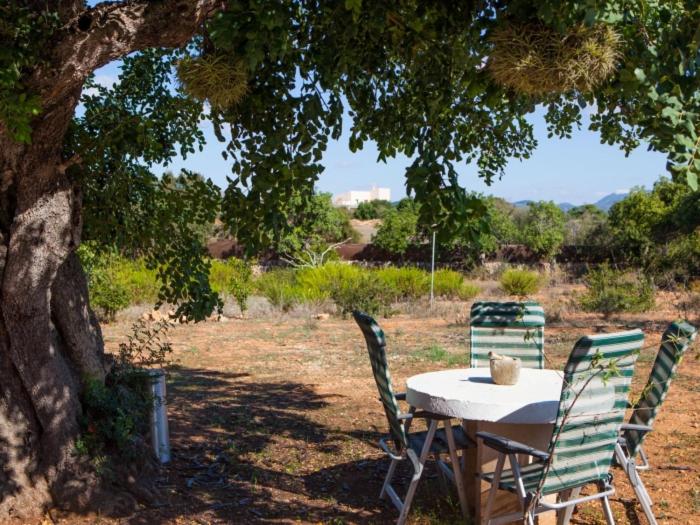 Finca Bassa Serra - Casa de 2 dormitorios - 4