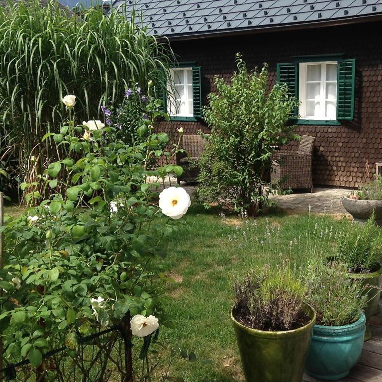 Burgi Kefer - Apartment mit 1 Schlafzimmer - 5