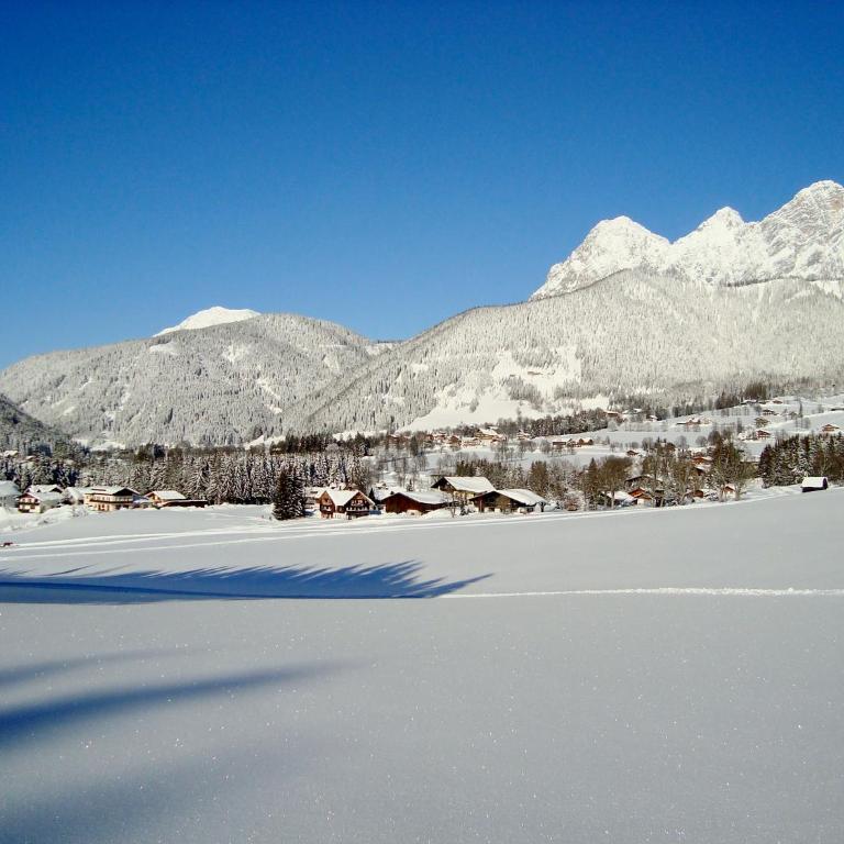 Panorama Appartement inklusive Schladming Dachstein Freizeitcard - Apartment mit 1 Schlafzimmer - 48