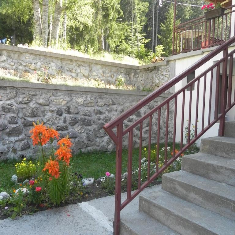 Apartments Vuković - Apartman sa 2 Spavaće Sobe i Terasom - 13