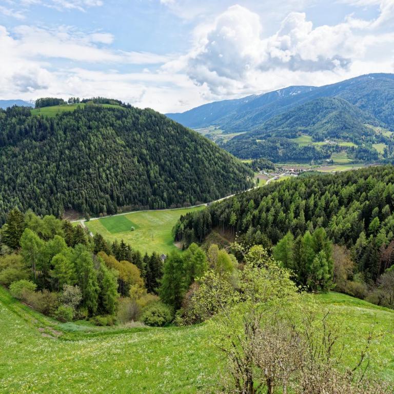 Kehrerhof Urlaub auf dem Bauernhof - Apartment mit 1 Schlafzimmer und Balkon - 6