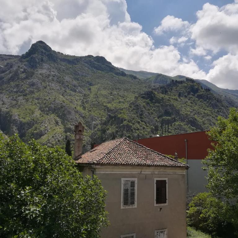 Apartment Nikolic Kotor - One-Bedroom Apartment - 3