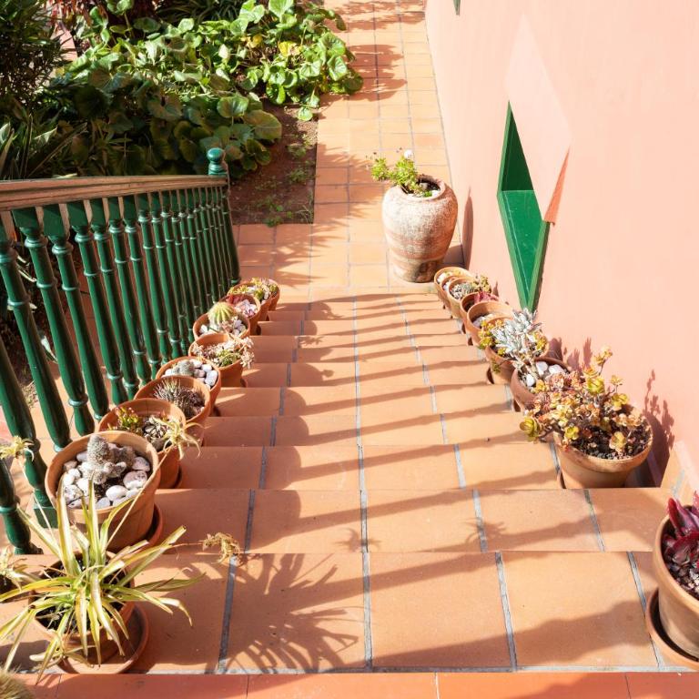 Home2Book Luxury Villa Luna de Tacoronte Pool - Villa - 49