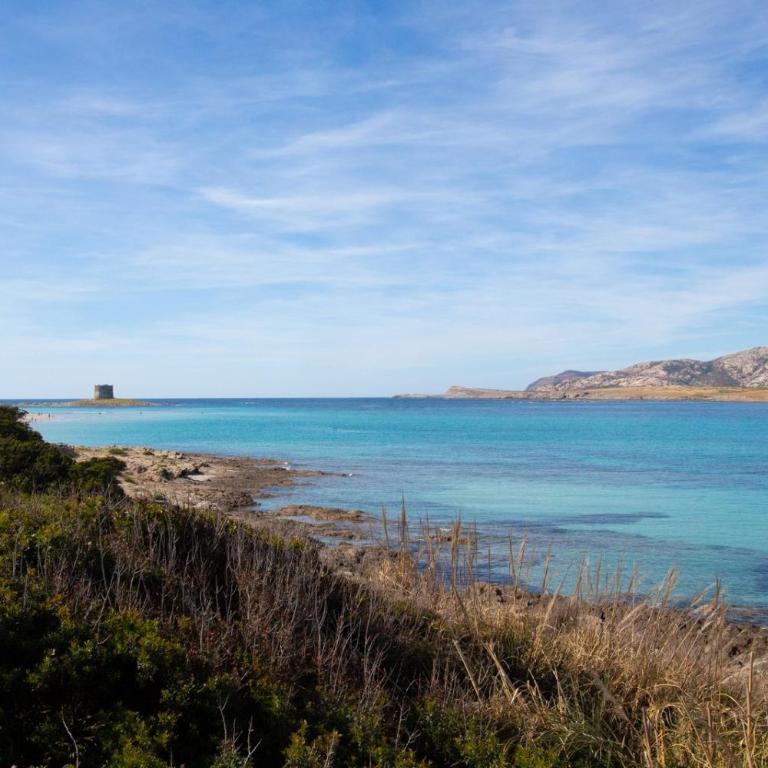 Panorama sul mare - Casa Vacanze - 19