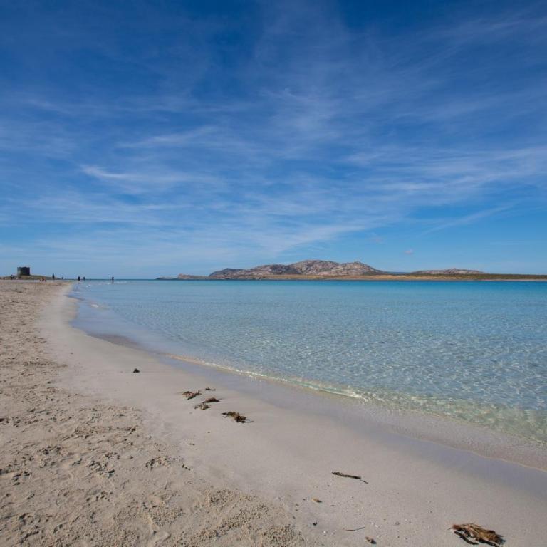 Panorama sul mare - Casa Vacanze - 14